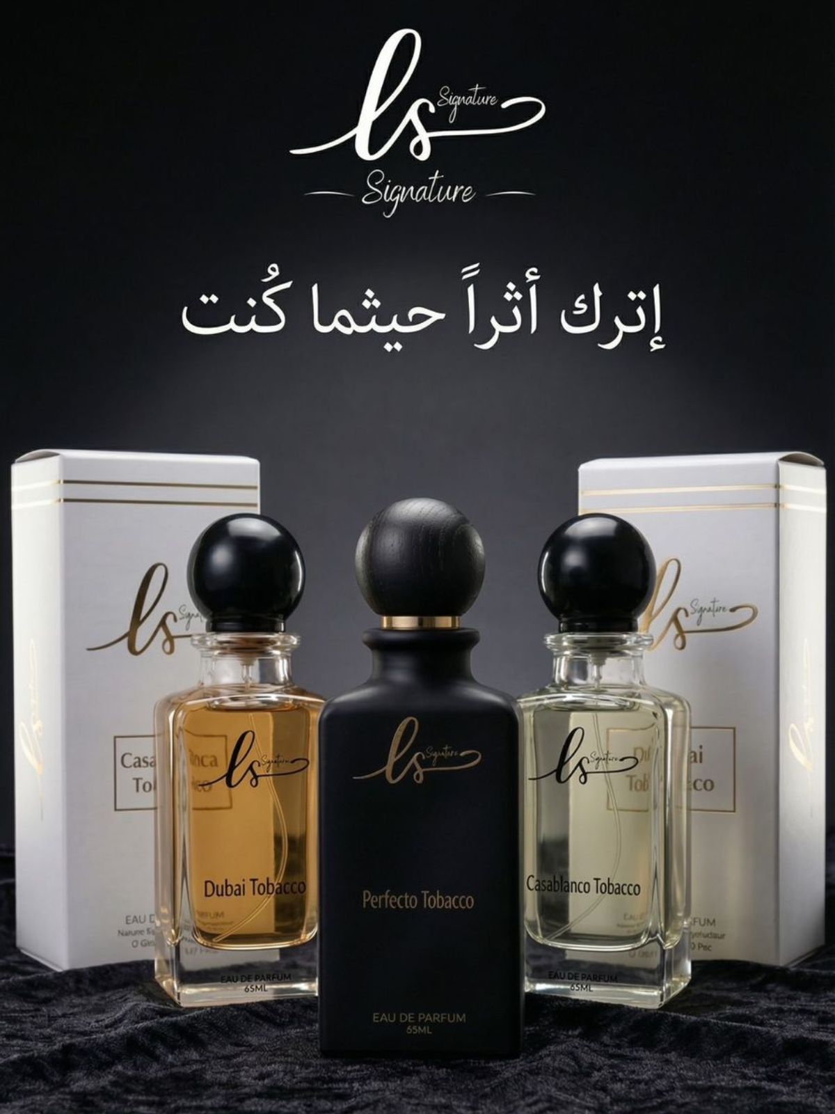 Untitled design - 2026-01-21T230801.281